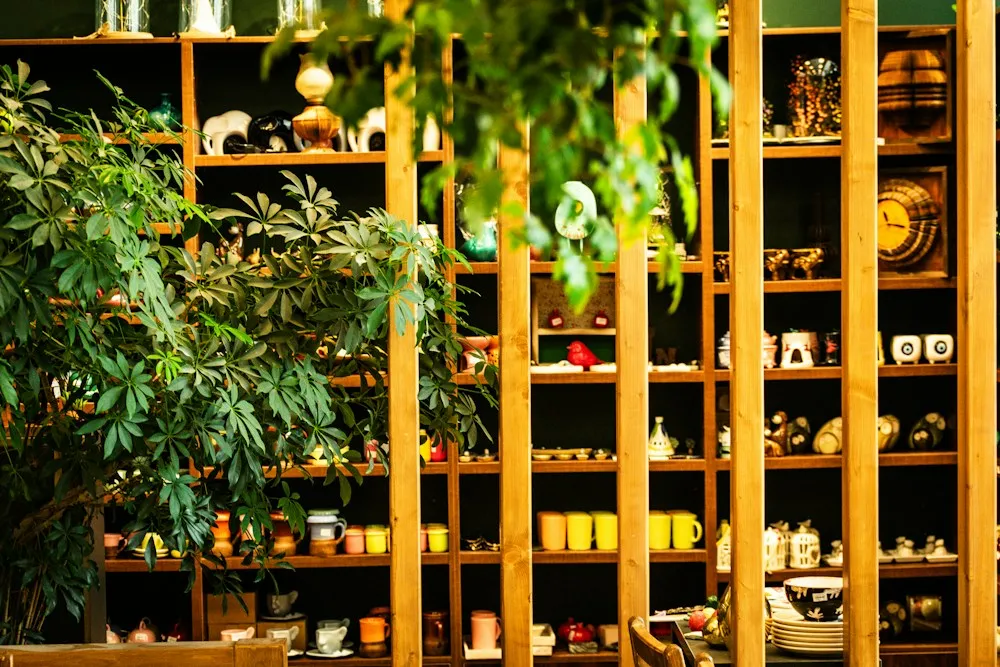 Estanterías de madera con plantas y objetos a la venta